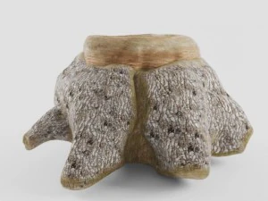 old stump 3D Model