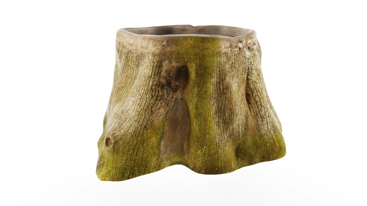 stump 3D Model .c4d .max .obj .3ds .fbx .stl .blend 
