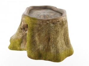 stump Model 3D
