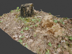 3d scanned nature tree stump 3D Model