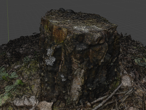 3d scanned nature tree stump 3D Model