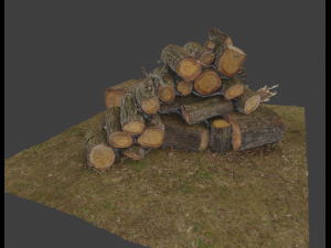 Firewood Pile Pack Model 3D