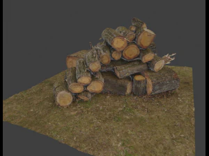 Firewood Pile Pack 3D Model