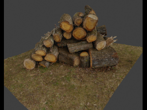 Firewood Pile Pack Model 3D