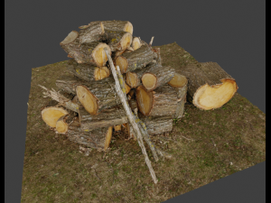 Firewood Pile Pack Model 3D