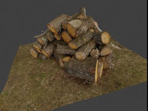 Firewood Pile Pack Model 3D