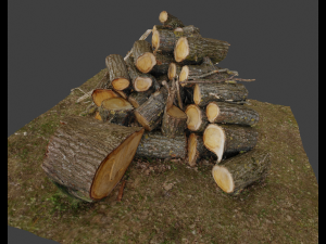 Firewood Pile Pack Model 3D