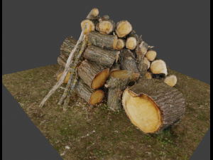 Firewood Pile Pack Model 3D