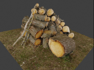 Firewood Pile Pack Model 3D