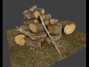 Firewood Pile Pack Model 3D