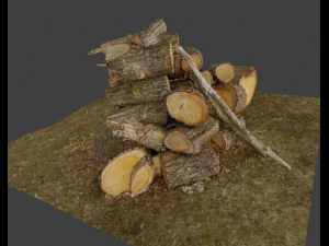 Firewood Pile Pack 3D Model