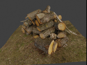Firewood Pile Pack Model 3D