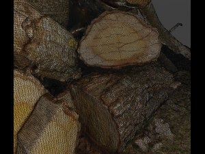 Firewood Pile Pack Model 3D