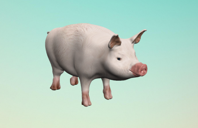 little pig 3D 모델 .c4d .max .obj .3ds .fbx .stl .blend 