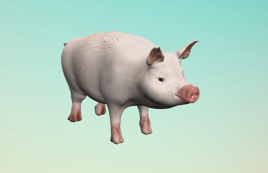 little pig 3D Model .c4d .max .obj .3ds .fbx .stl .blend 