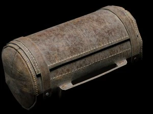 javali cibern&eacute;tico Modelo 3D