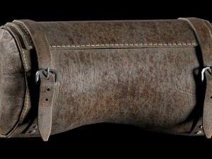 javali cibern&eacute;tico Modelo 3D