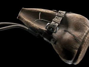 javali cibern&eacute;tico Modelo 3D