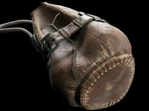 javali cibern&eacute;tico Modelo 3D