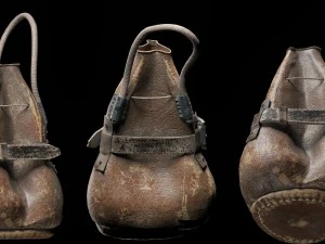 javali cibern&eacute;tico Modelo 3D