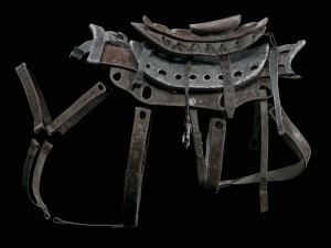 cybernetic boar 3D 模型