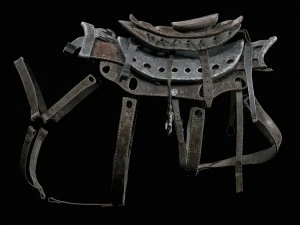 javali cibern&eacute;tico Modelo 3D