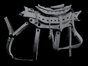 cybernetic boar 3D 模型