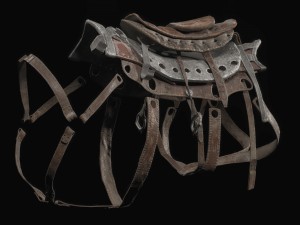 cybernetic boar 3D 模型