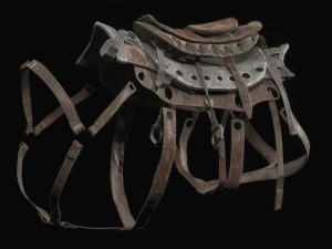 javali cibern&eacute;tico Modelo 3D