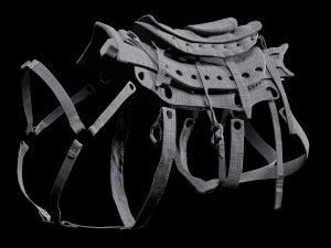 javali cibern&eacute;tico Modelo 3D