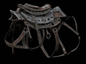 cybernetic boar 3D 模型