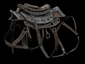 javali cibern&eacute;tico Modelo 3D