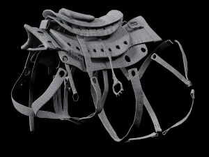 javali cibern&eacute;tico Modelo 3D