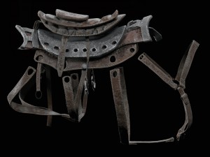 cybernetic boar 3D 模型