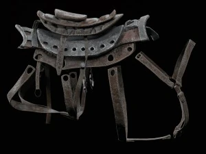 javali cibern&eacute;tico Modelo 3D