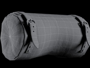 two bags 3D 模型