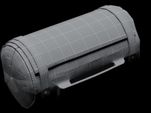 two bags 3D 模型
