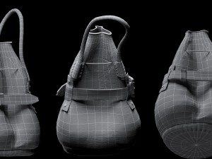 two bags 3D 模型
