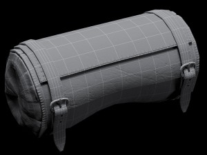 two bags 3D 模型