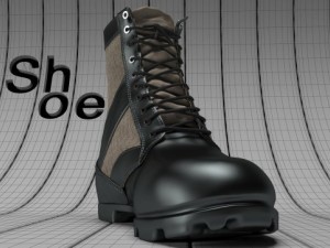 3dshoe 3D Model