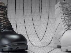 3dshoe 3D Model