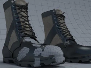 3dshoe 3D Model