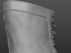 3dshoe 3D Model
