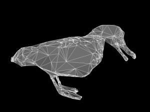 albatross mallemuck bird 3D Модель