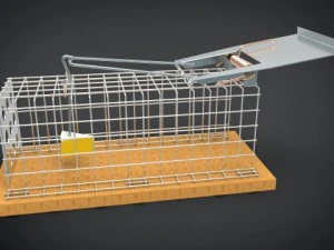 pułapka na myszy Model 3D