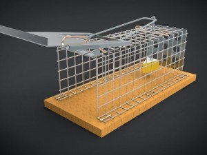 mousetrap 3D मॉडल
