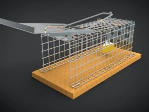 ネズミ捕り 3Dモデル