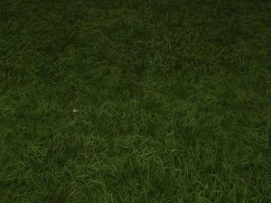 ground grass tile CG Textures
