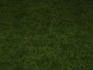 ground grass tile CG Textures