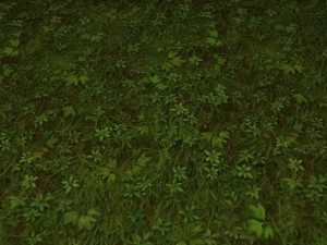 ground grass tile CG Textures